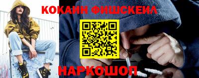 спайс Кингисепп