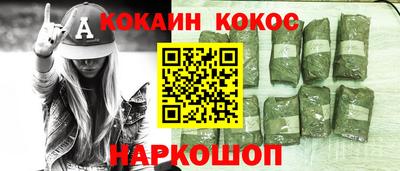 спайс Кингисепп