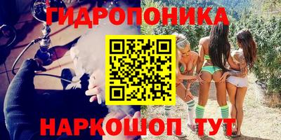 спайс Кингисепп