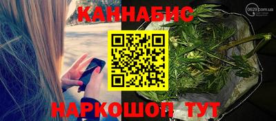 спайс Кингисепп