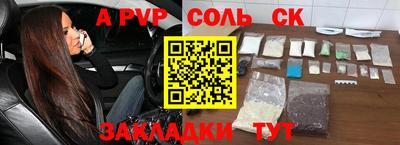 спайс Кингисепп
