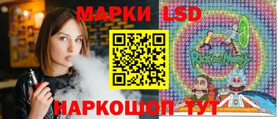 спайс Кингисепп