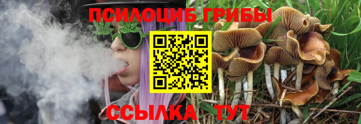 Чита  Галлюциногенные грибы мицелий  Вход с VPN 